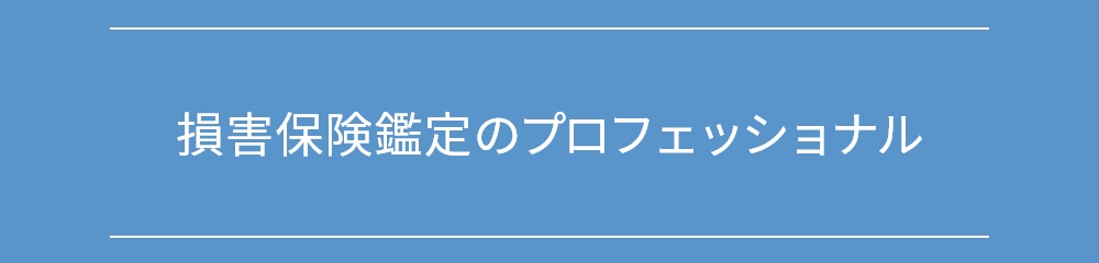 損害保険鑑定のプロフェッショナル